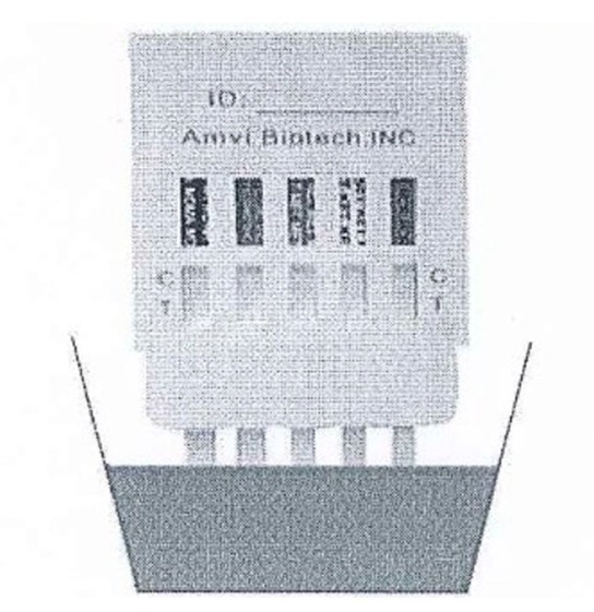 hướng dẫn sử dụng test