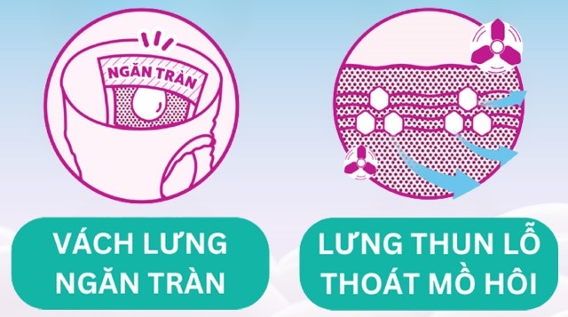 Thiết kế tã quần Bobby size L