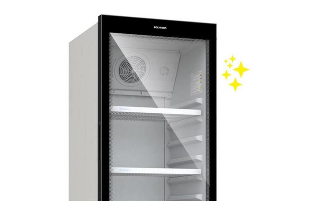 Showcase Polytron SCN 287 2