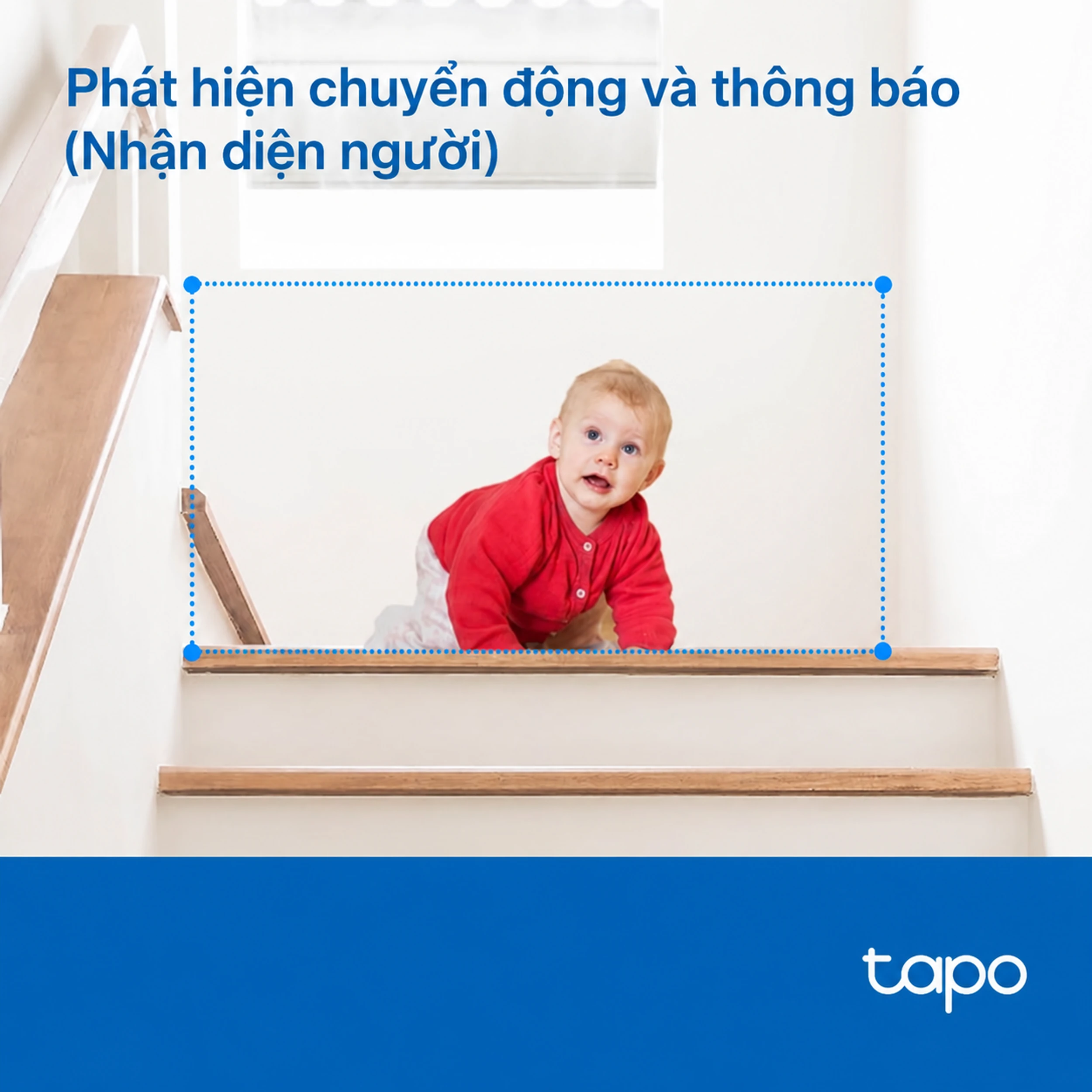 Camera IP 360 Độ 3MP TP Link Tapo TC71 - 5