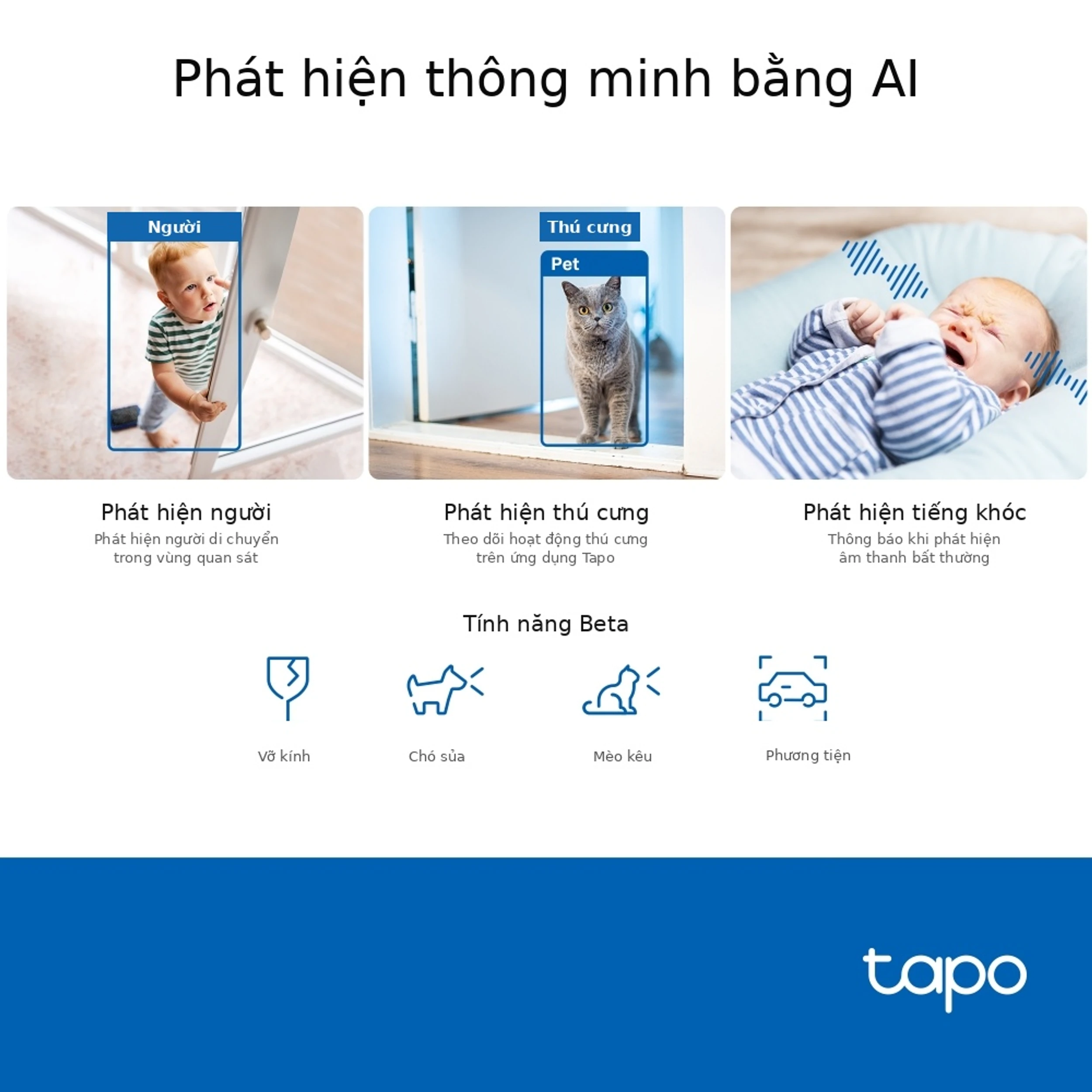 Camera IP 360 Độ 5MP TP Link Tapo C230 - 5