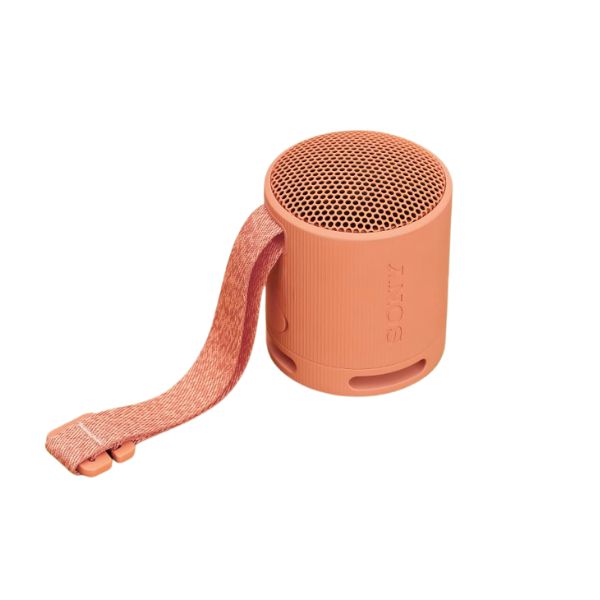 Loa Bluetooth Sony SRS-XB100