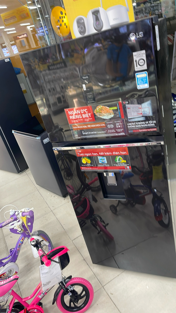 Tủ lạnh LG GN-D392BLA