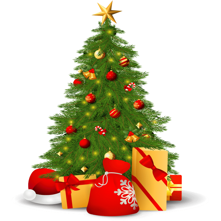 Trang trí Giáng sinh trái